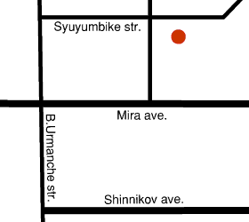 City map