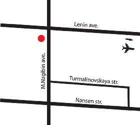 City map