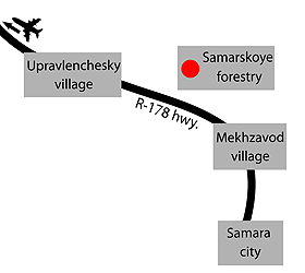 City map