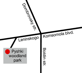 City map