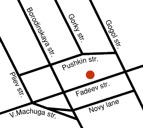 City map