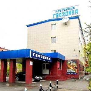 Hotel Gvozdika