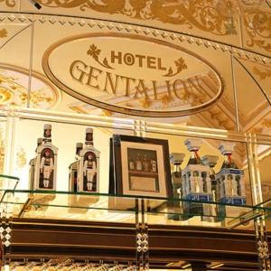 Hotel Gentalion
