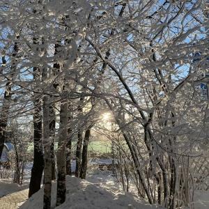 Гостиница Шератон Скайпоинт Люкс