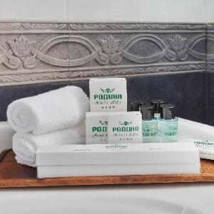 Rodina Hotel & SPA