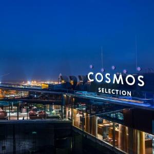 Hotel Cosmos Selection Moscow Sheremetyevo Airport (f.Radisson Blu Hotel, Moscow Sheremetyevo)