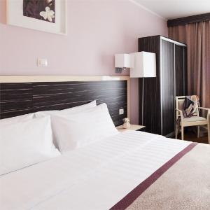Hotel Izmailovo Delta