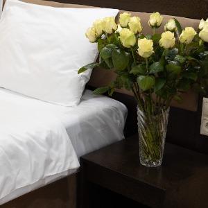 Hotel Golden House