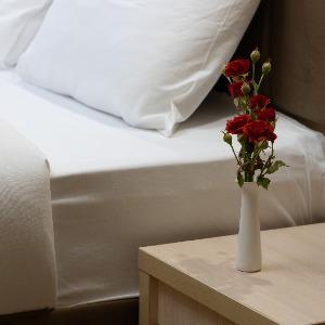 Hotel Golden House