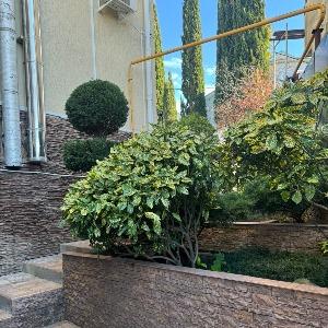 Hotel Golden House