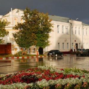Гостиница Базилик Скопин Мини-отель