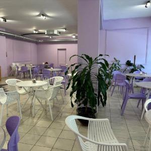 Hotel Kapitan Morey