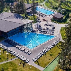 Гостиница Лес Арт Резорт