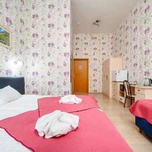 Hotel Nevsky 111