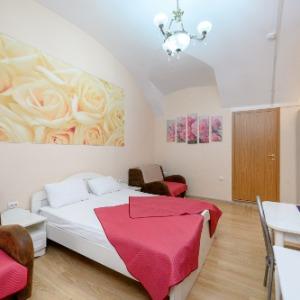 Hotel Nevsky 111