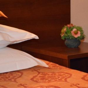 Hotel Monika