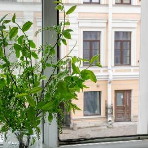 Гостиница Демут Отель