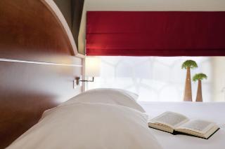 Hotel ibis Styles Colmar Centre