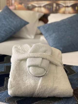 Гостиница Best Western Saphir Lyon