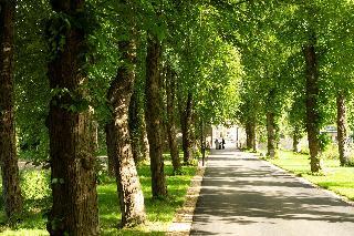 Гостиница Hyatt Regency Chantilly