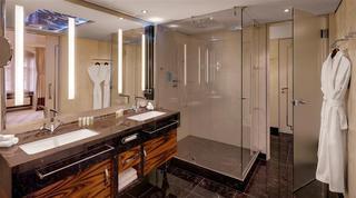 Гостиница The Westin Bellevue Dresden