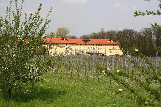Hotel MAXX by Steigenberger Deidesheim