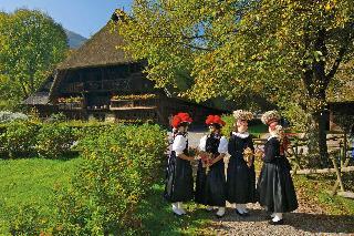 Гостиница Sure Hotel by Best Western Bad Duerrheim