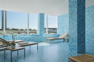 Гостиница Sheraton Amsterdam Airp Htl And Conference Center