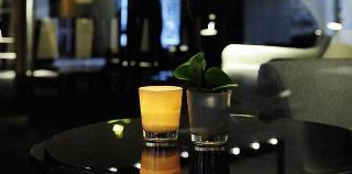 Гостиница Pullman Eindhoven Cocagne
