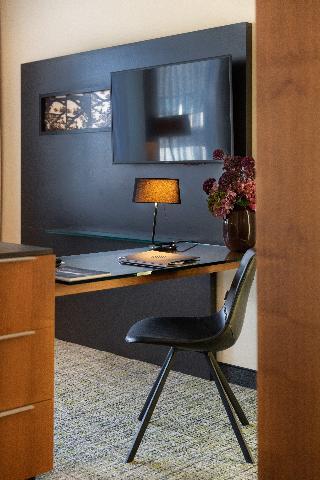 Гостиница Pullman Eindhoven Cocagne