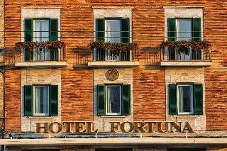 Гостиница Fortuna