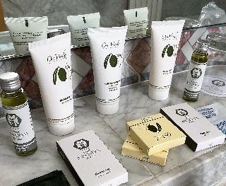 Гостиница Minerva
