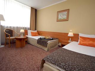 Hotel Mercure Torun Centrum