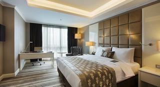 Dedeman Bostanci IstanbulHotel & Convention Centre