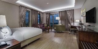 Hotel DoubleTree by Hilton Istanbul Topkapi