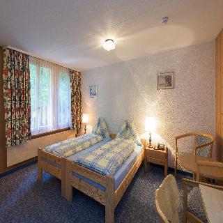 Гостиница Jungfrau Lodge Swiss Mountain