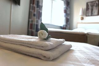 Sure Hotel by Best Western Dahls