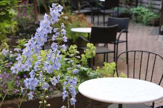 Гостиница Hotel Lorensberg, Sure Hotel Collection by Best W.