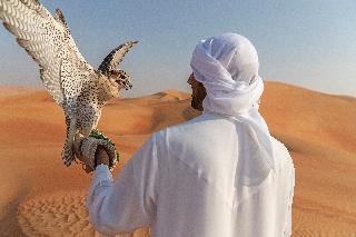 Гостиница Anantara Qasr Al Sarab Resort & Spa