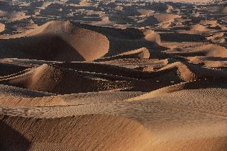 Гостиница Anantara Qasr Al Sarab Resort & Spa