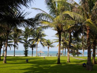 Гостиница Palm Garden Resort