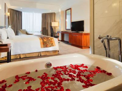 Hotel Hyatt Regency West Hanoi