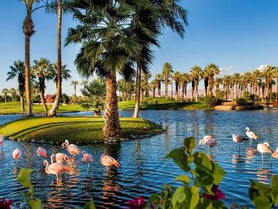 Hotel Jw Marriott Desert Springs