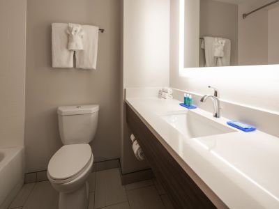 Гостиница Holiday Inn Exp N Suite Lookout Mountain