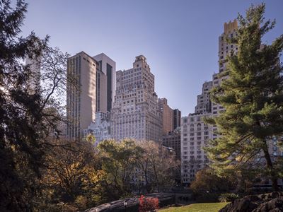 Гостиница Ritz-Carlton Central Park