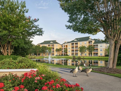 Гостиница Sheraton Broadway Plantation