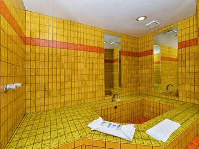 Гостиница Americas Best Value Inn Ste Downtown Sw