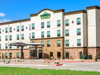 Гостиница Wingate Near Texas Tech Univ.medical Ctr