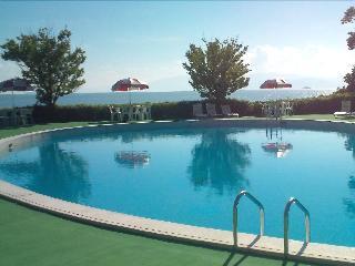 Hikone View Hotel