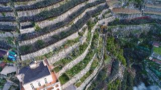 Гостиница Botanico San Lazzaro